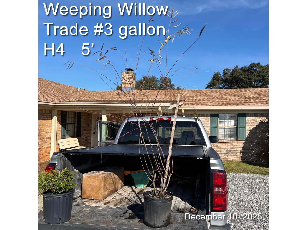 gallery/wwp3t h4 dec10.jpg